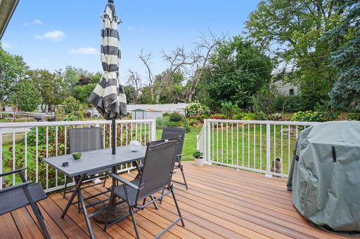 Deck & Yard