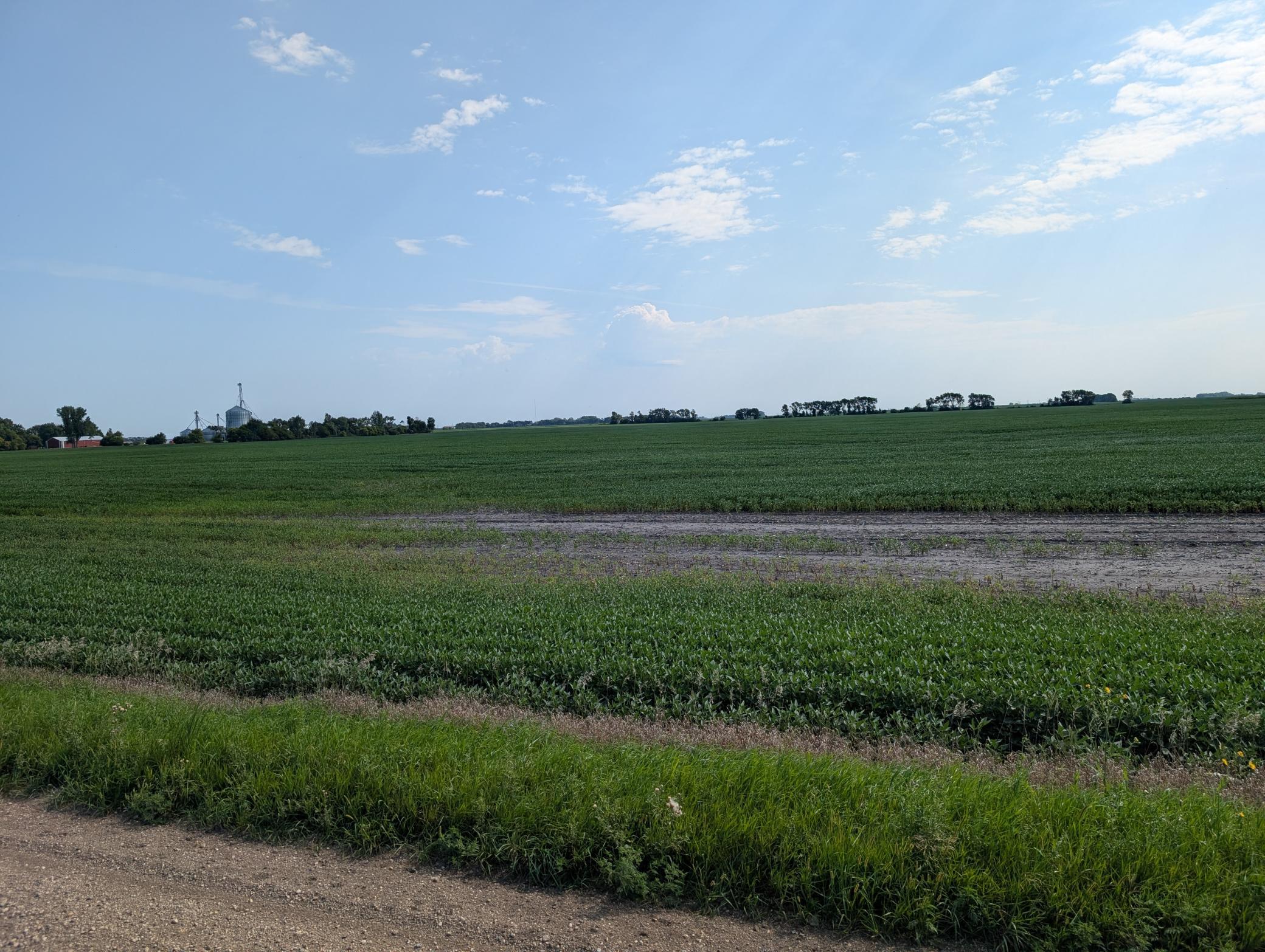 PXL_20260818_160738223.jpg