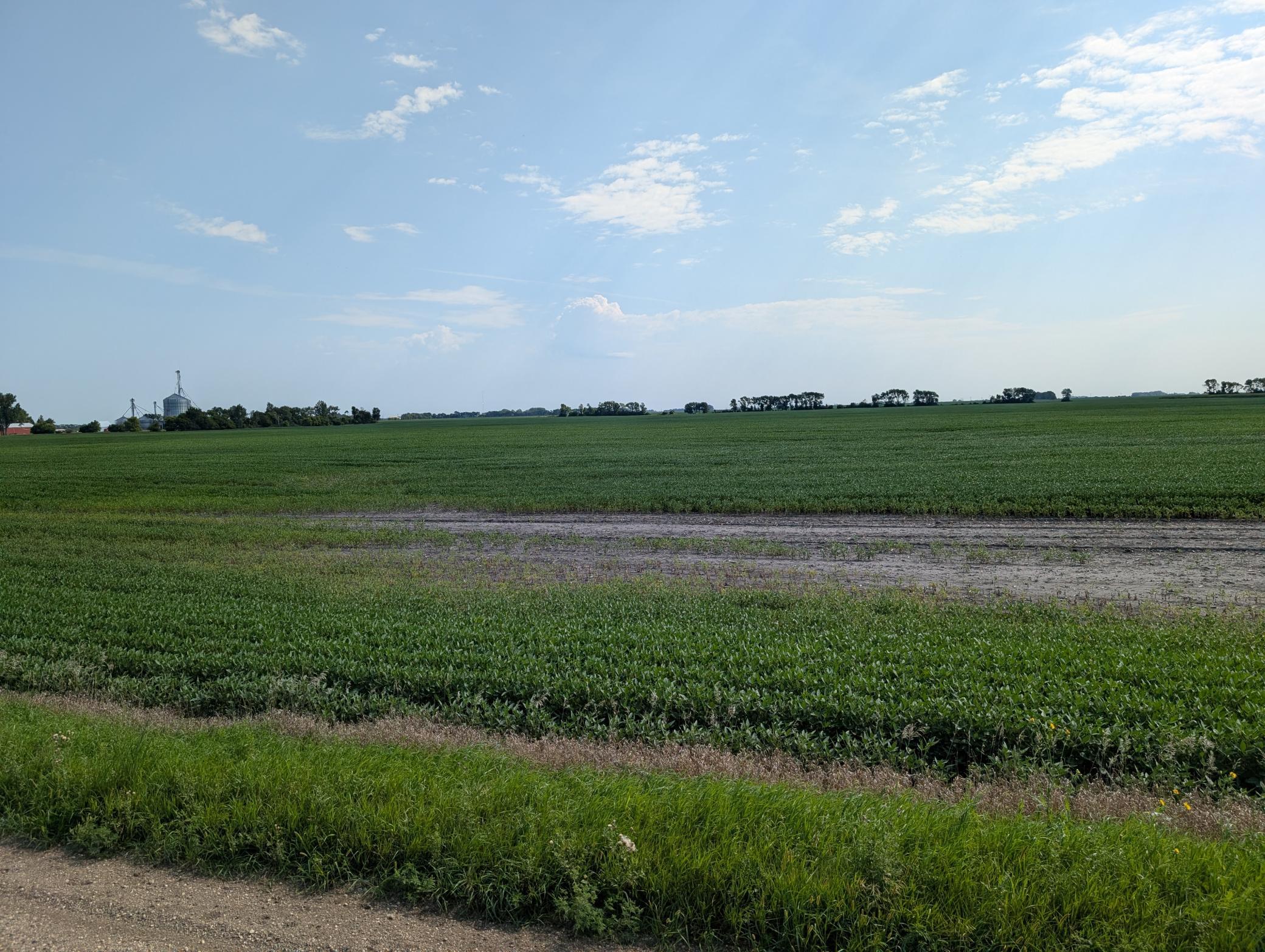 PXL_20260818_160743959.jpg