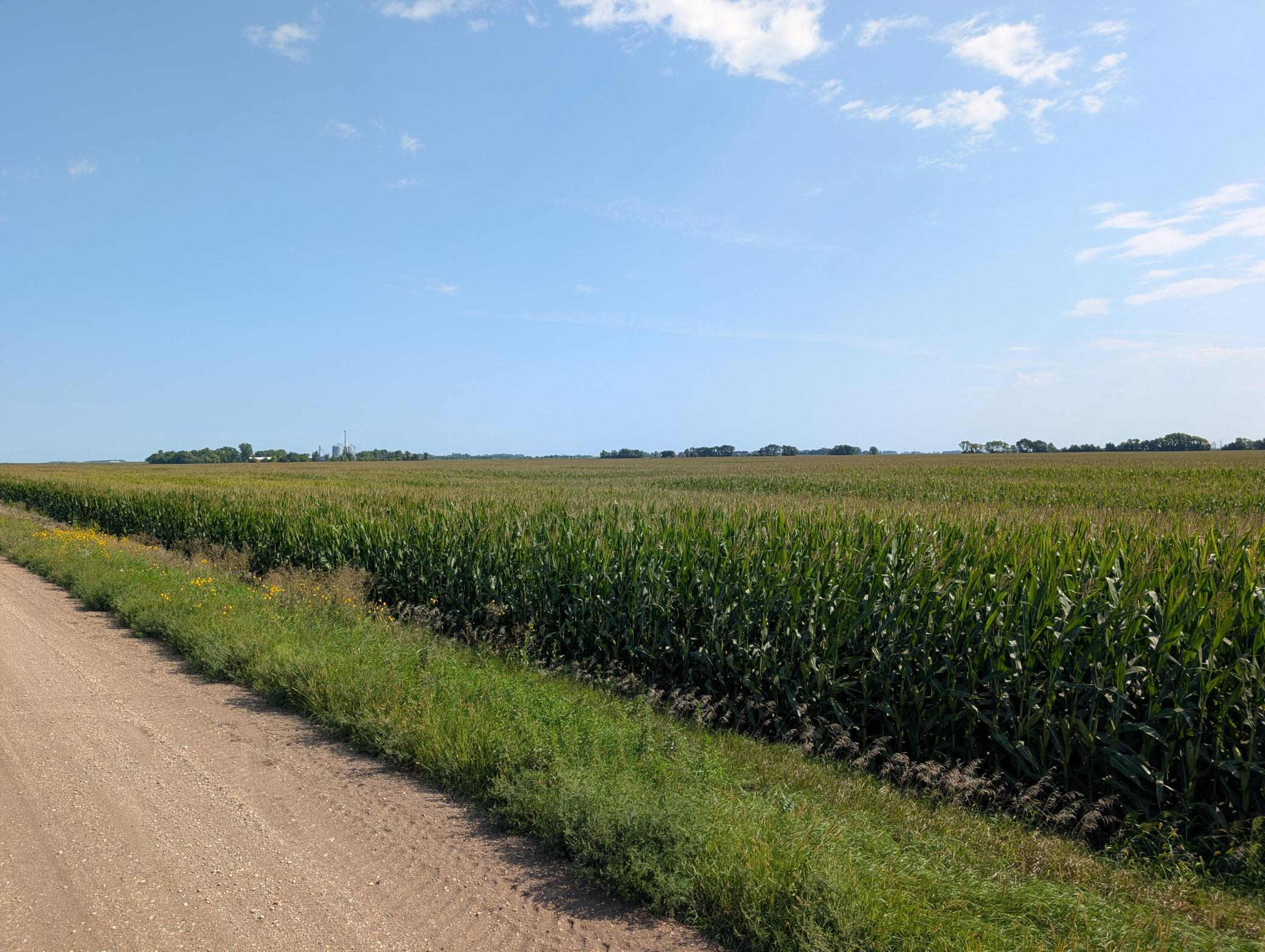 PXL_20260818_161636179.jpg