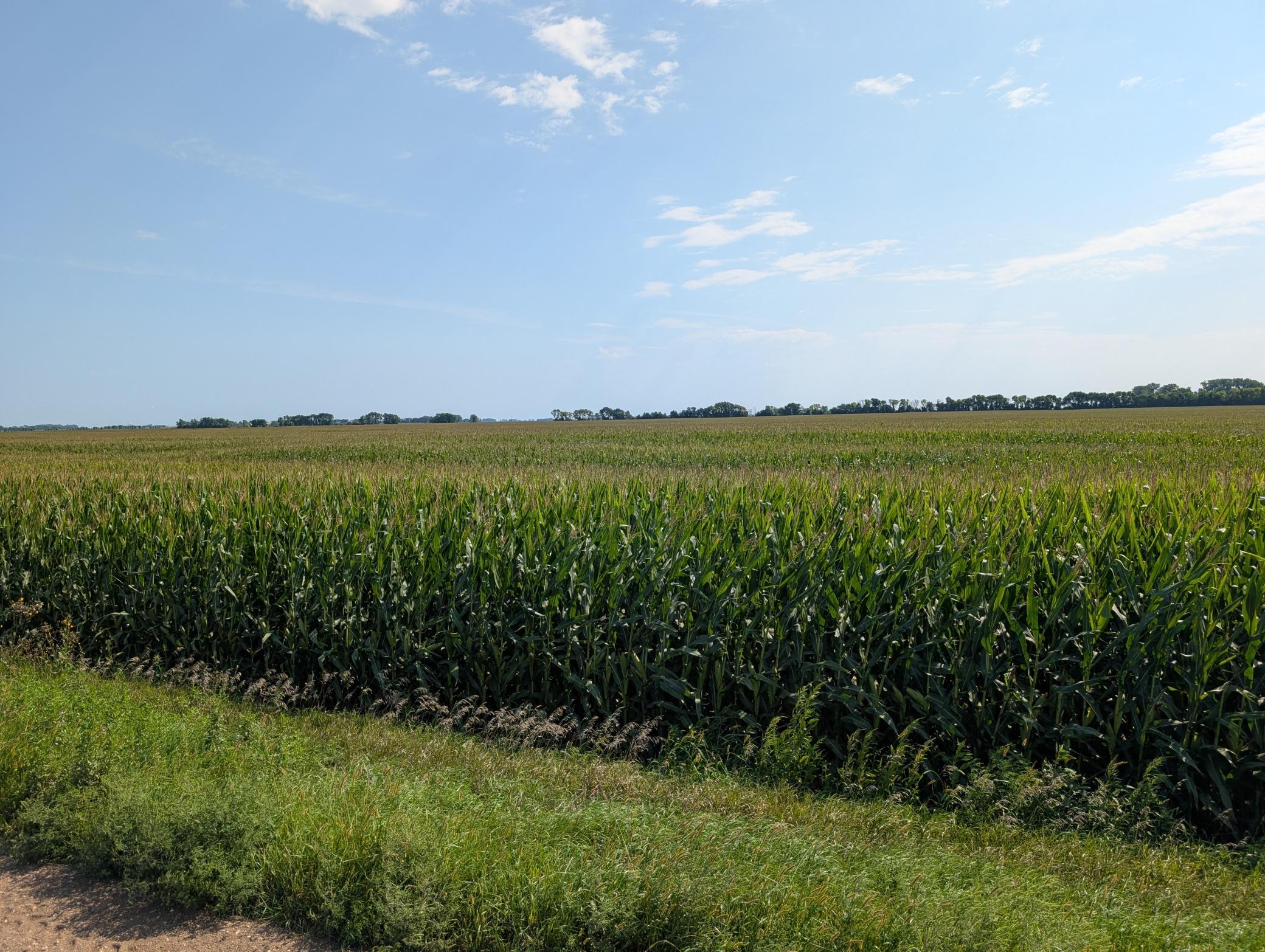PXL_20260818_161633595.jpg