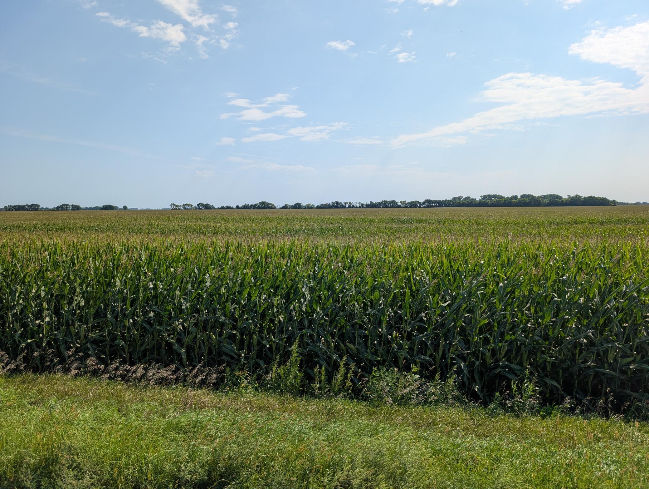 PXL_20260818_161632428.jpg