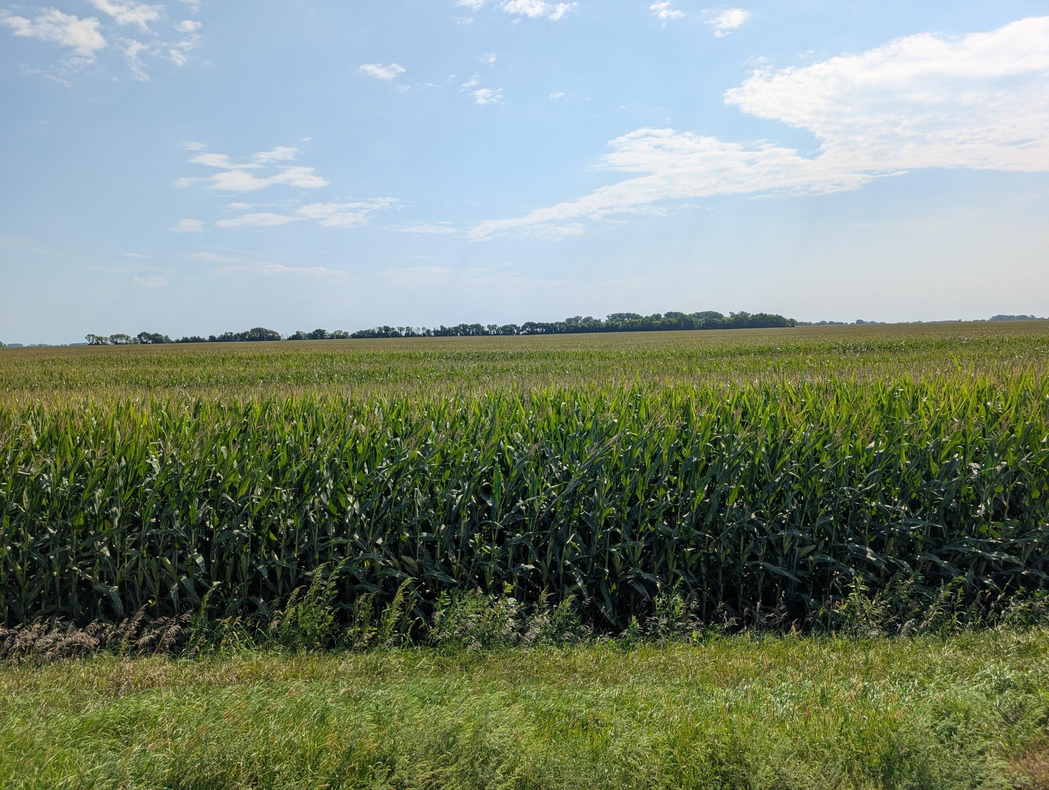PXL_20260818_161631338.jpg