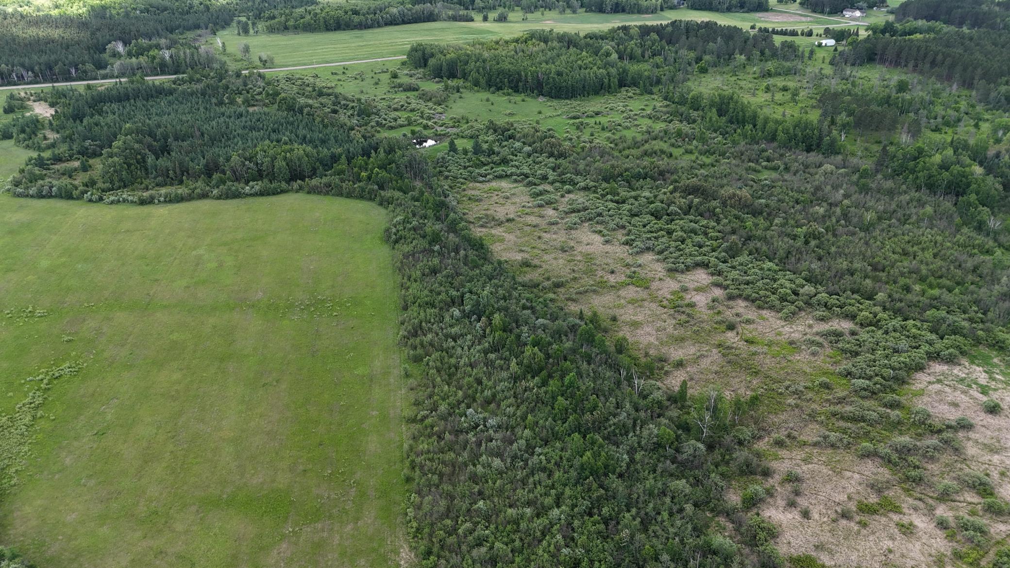 DJI_20260616115838_0562_D.JPG