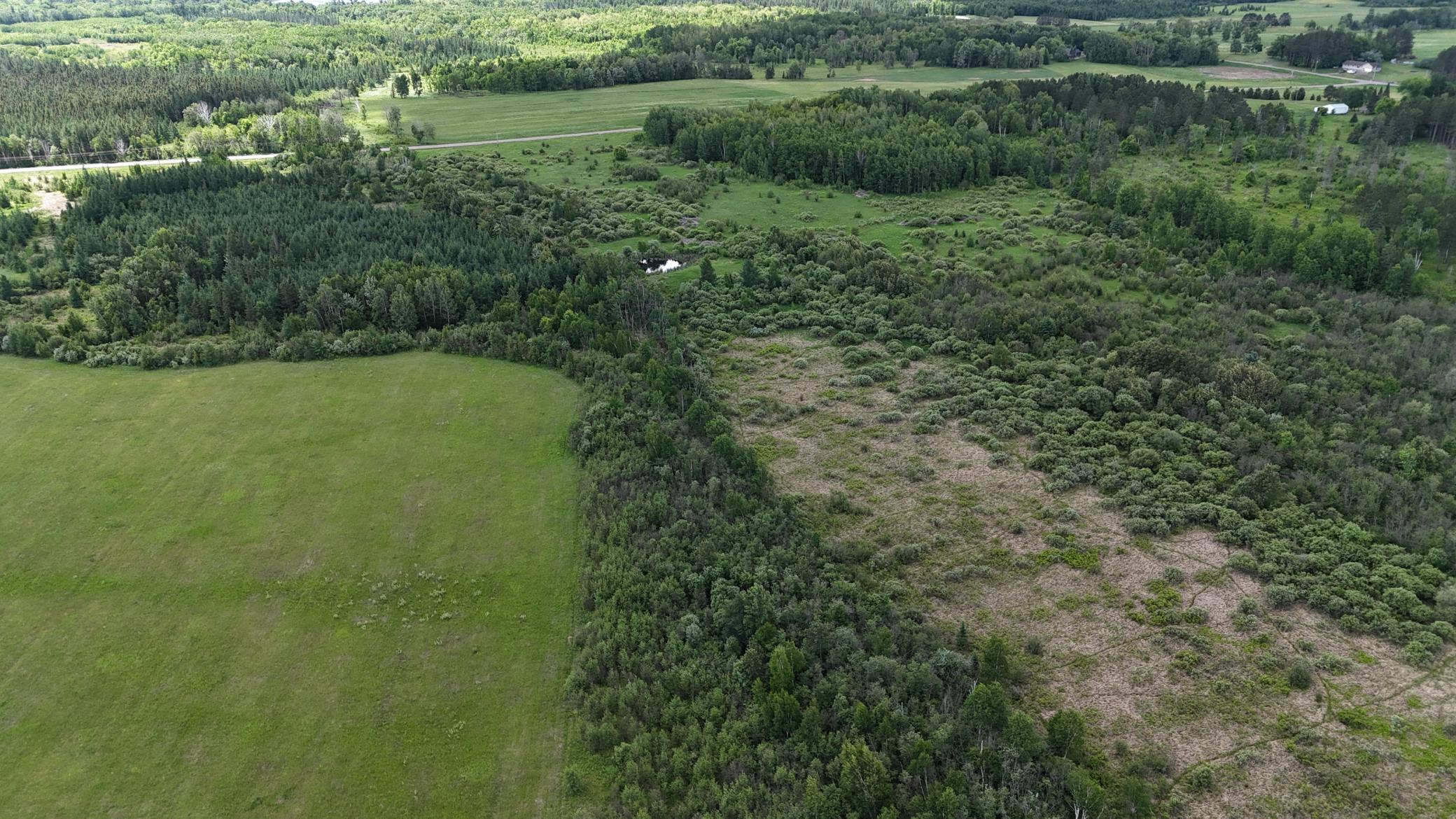 DJI_20260616115801_0561_D.JPG
