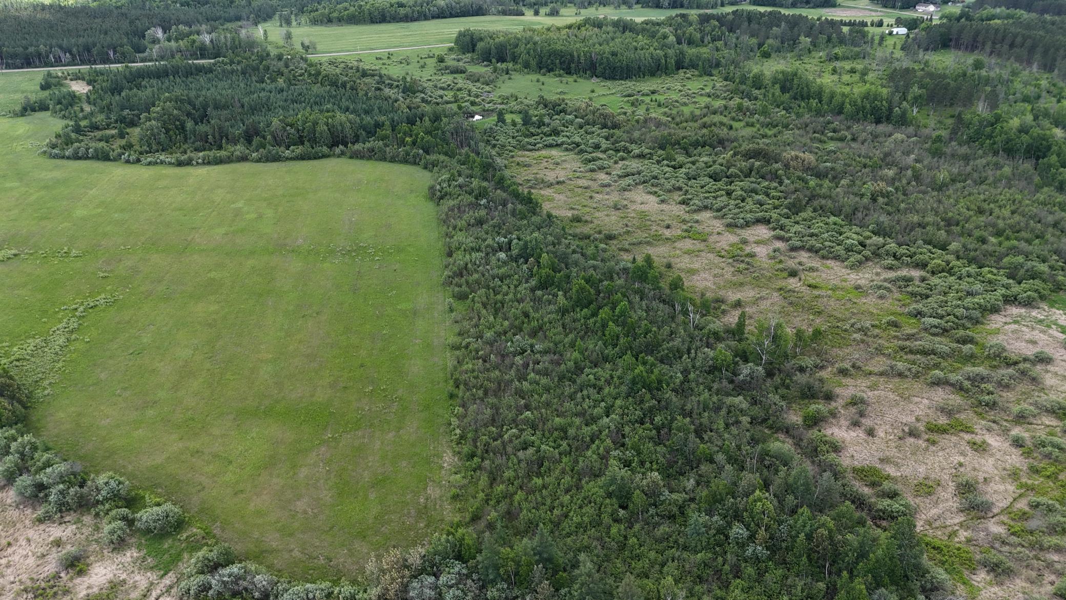 DJI_20260616115856_0563_D.JPG
