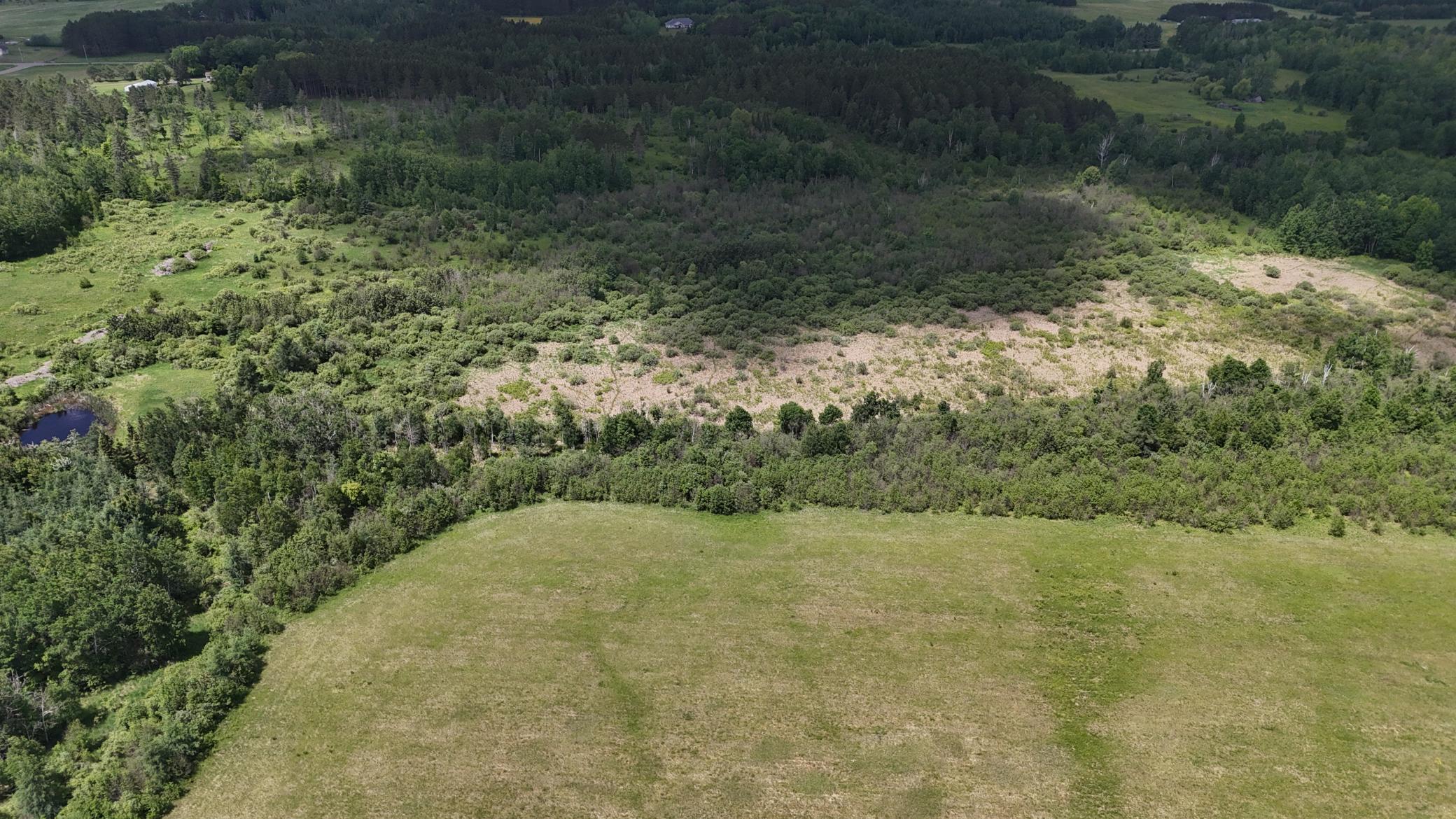 DJI_20260616115648_0560_D.JPG