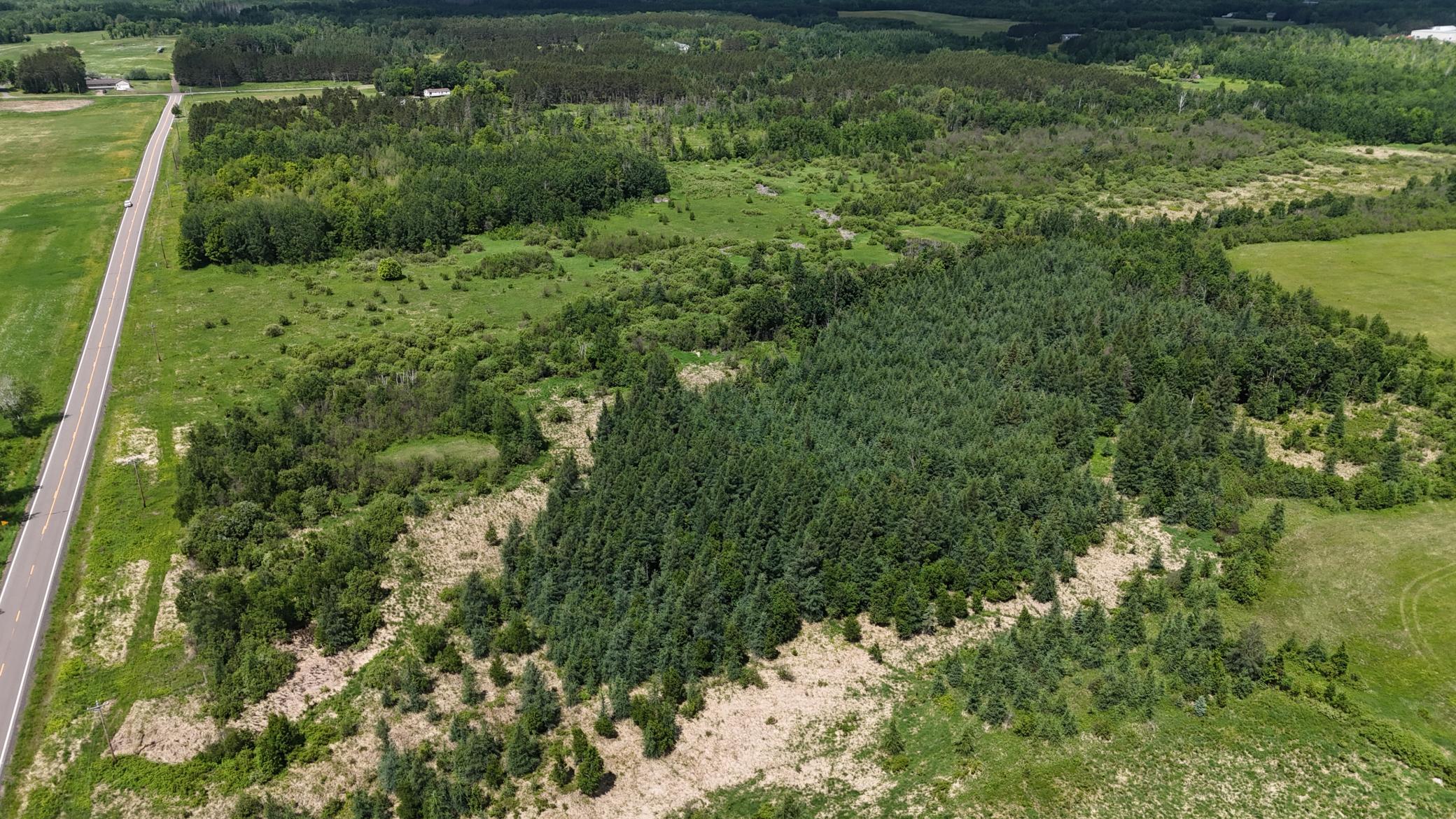 DJI_20260616115440_0554_D.JPG