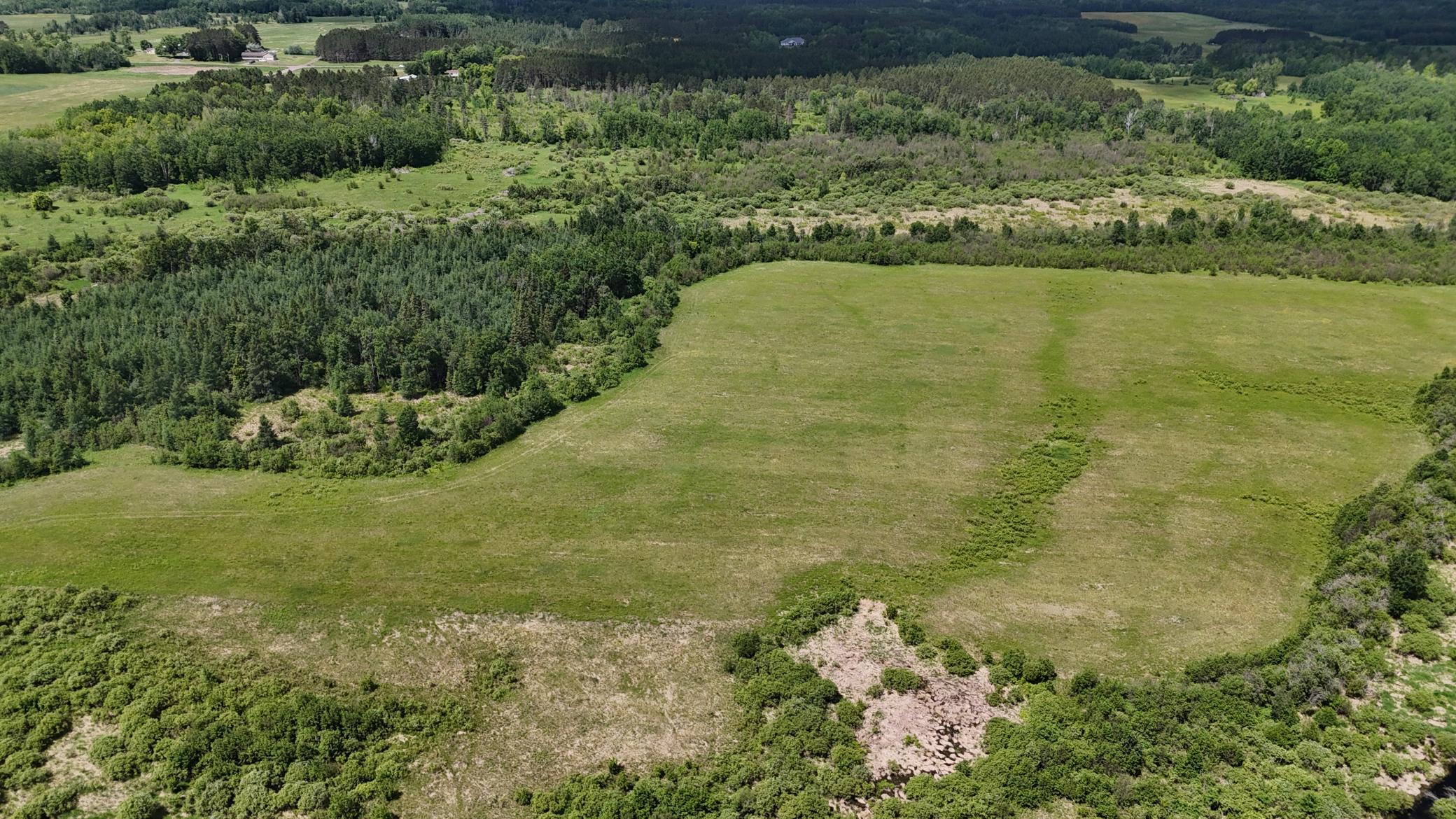 DJI_20260616115536_0557_D.JPG