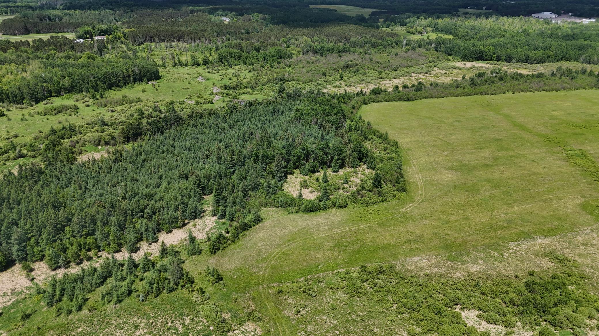 DJI_20260616115507_0555_D.JPG