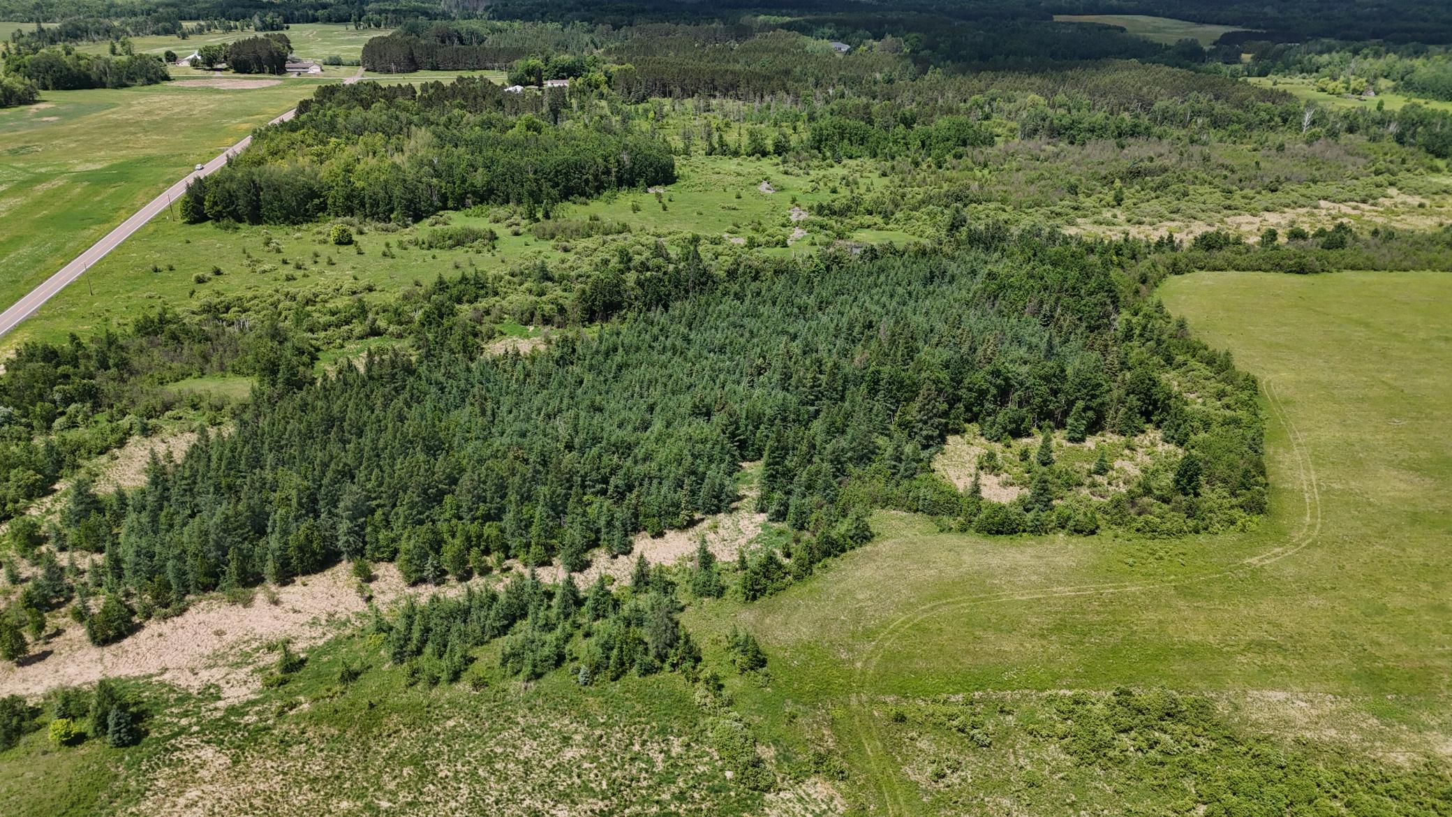 DJI_20260616115511_0556_D.JPG