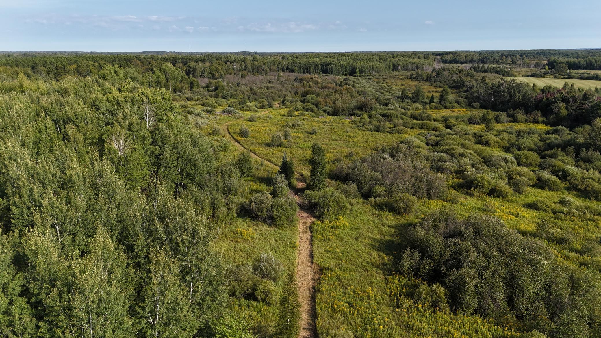 DJI_20260903094340_0841_D.JPG