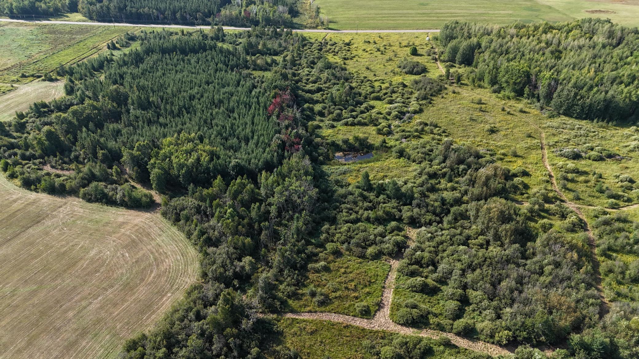 DJI_20260903094816_0851_D.JPG