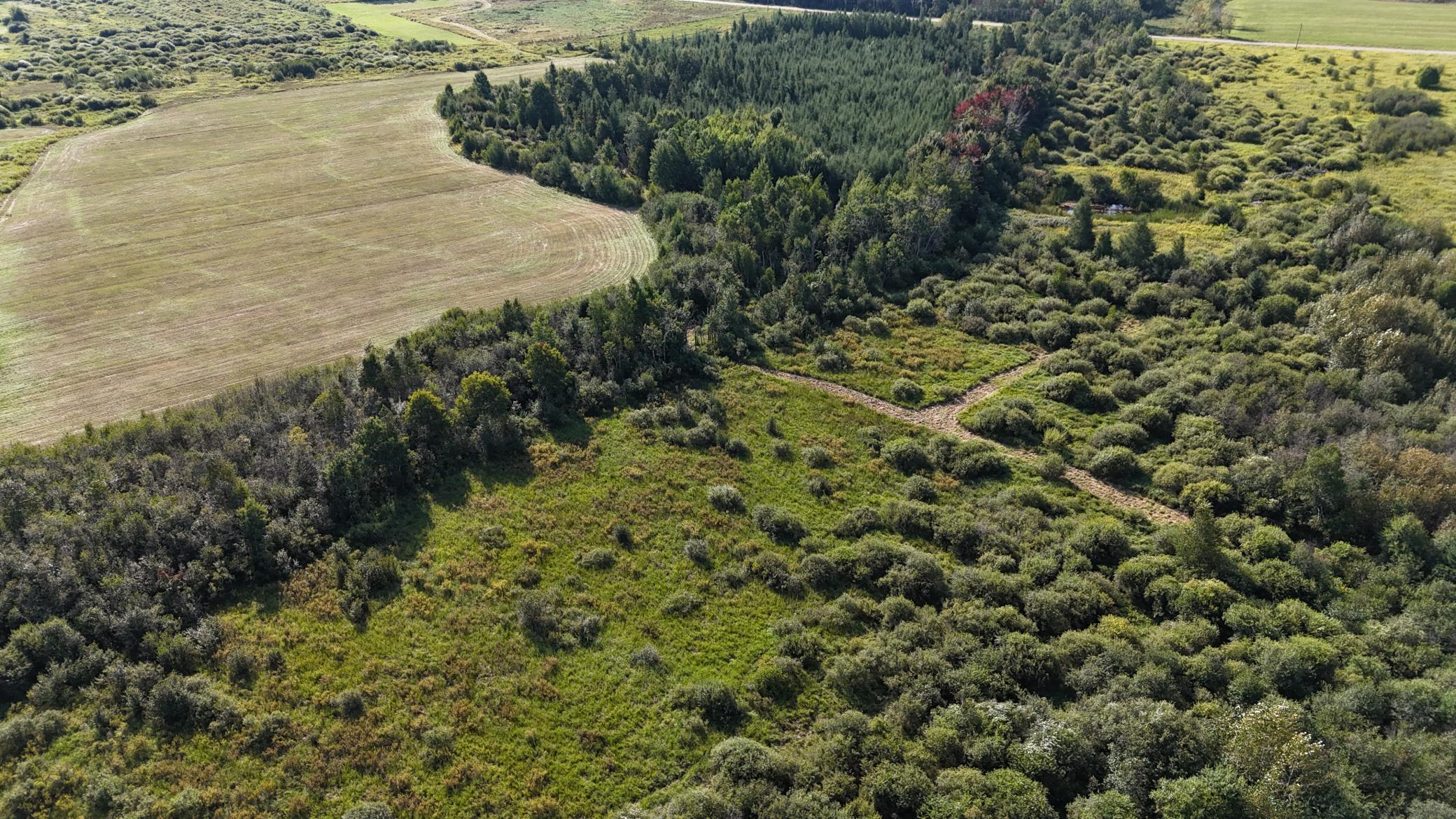 DJI_20260903094722_0850_D.JPG
