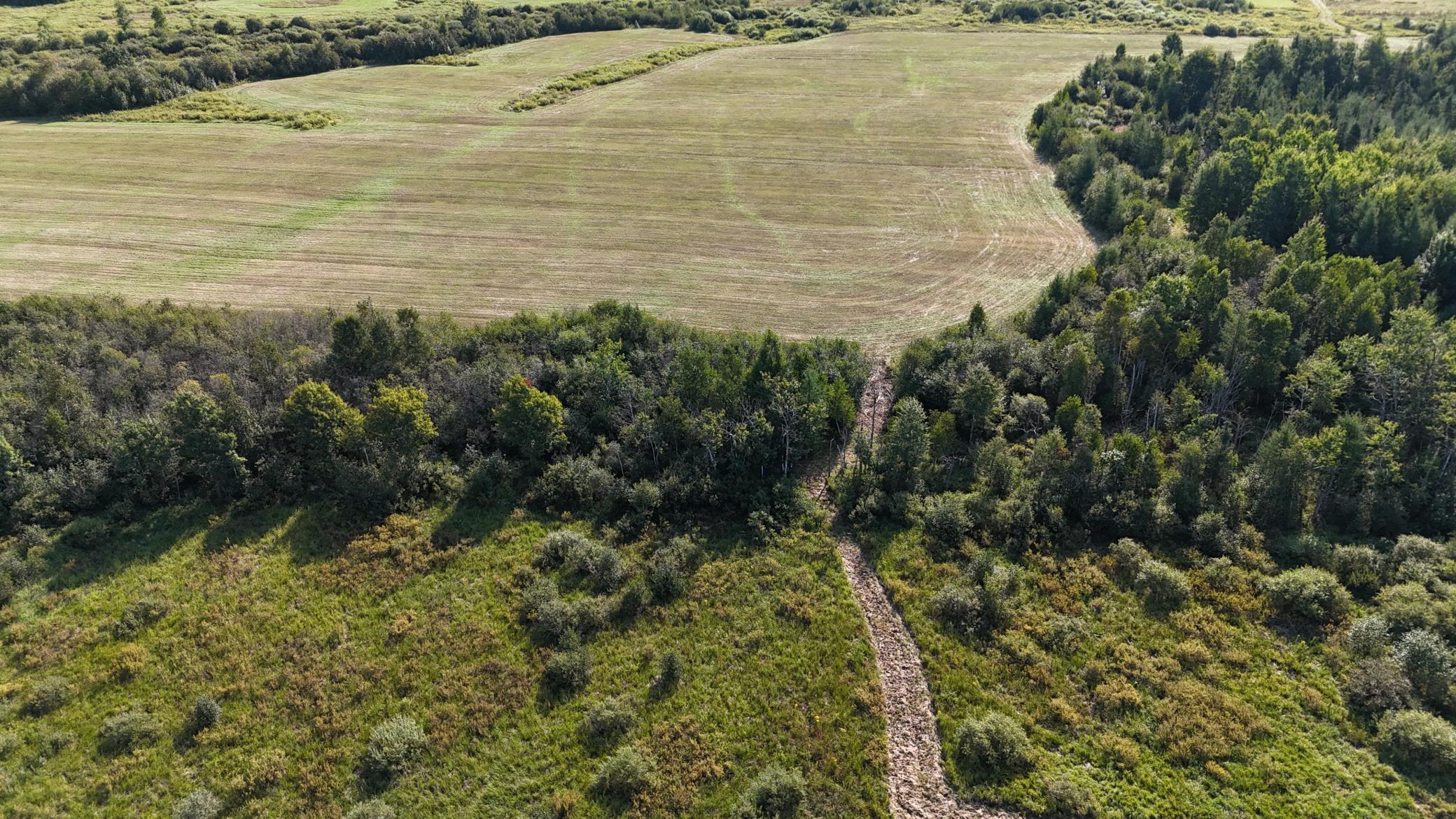 DJI_20260903094624_0848_D.JPG