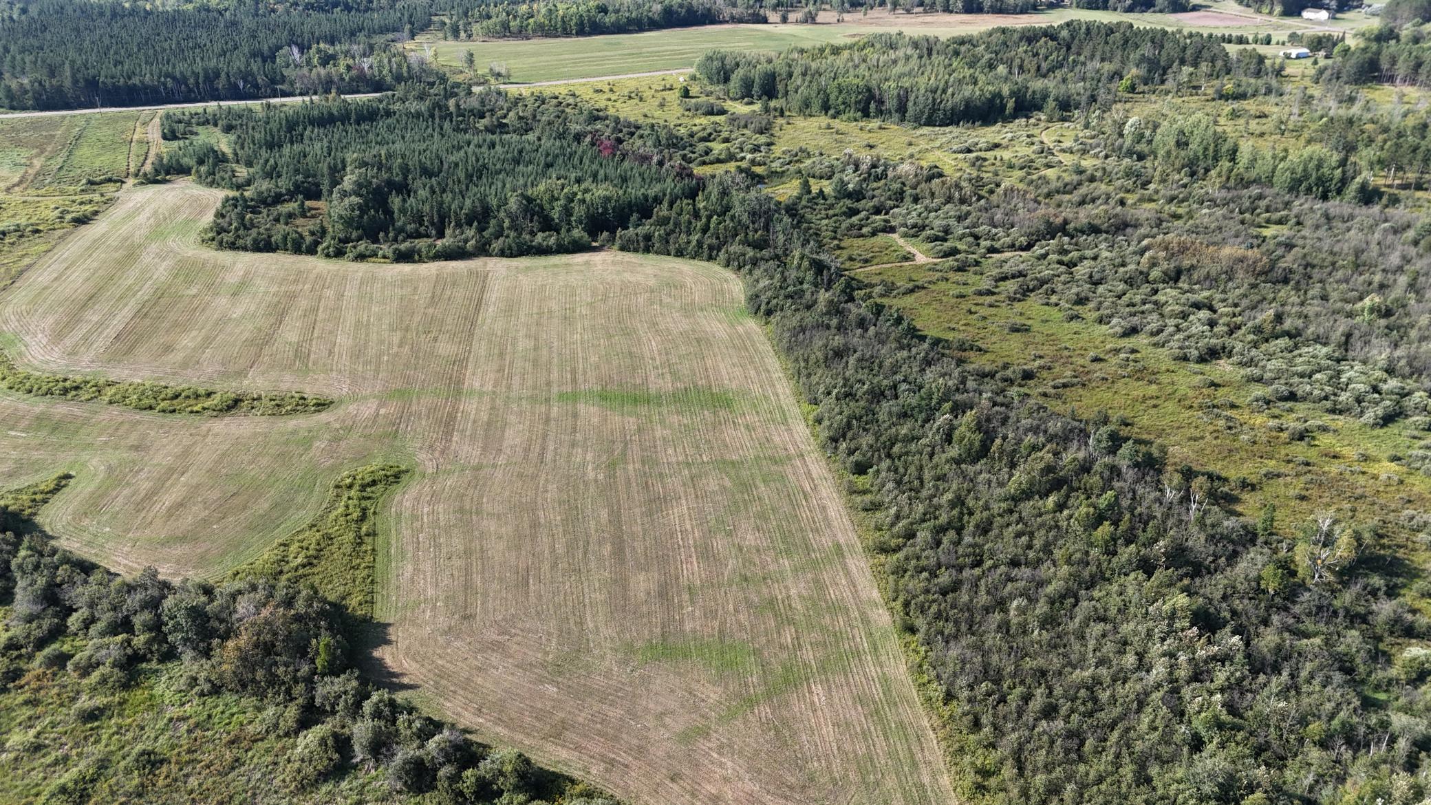 DJI_20260903094925_0854_D.JPG