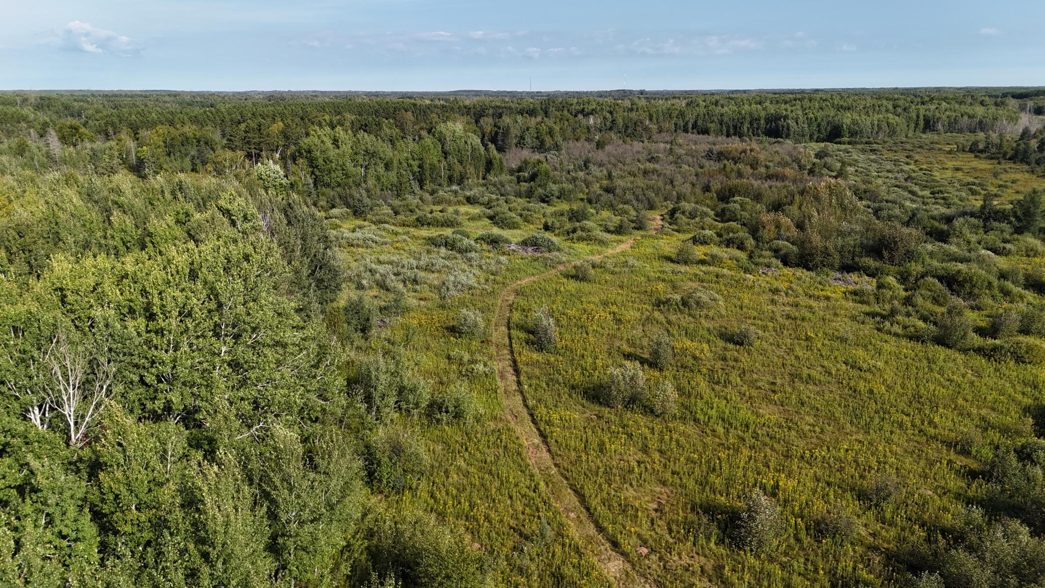 DJI_20260903094354_0842_D.JPG