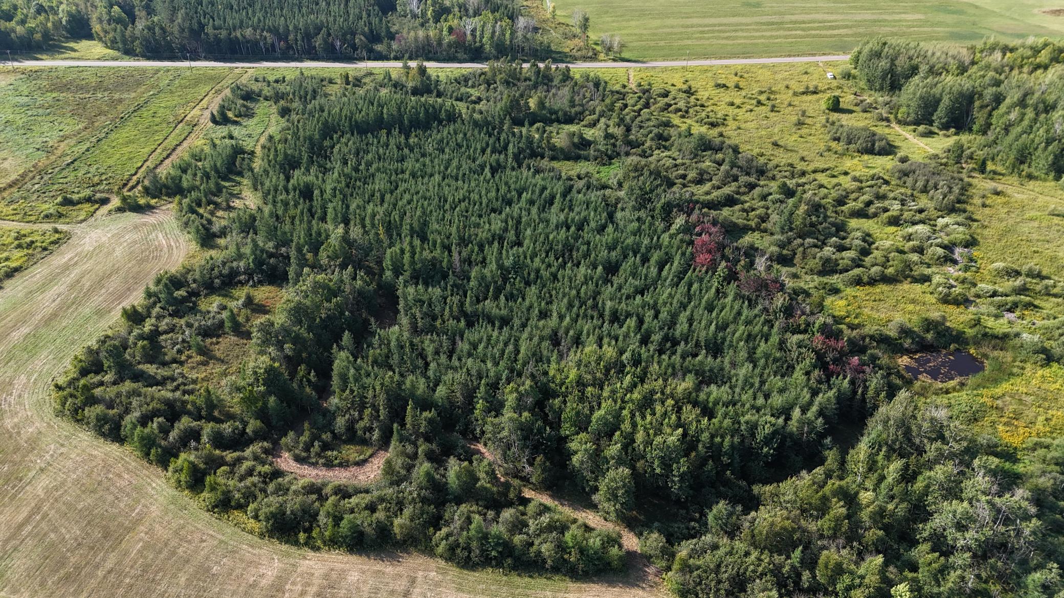 DJI_20260903094849_0853_D.JPG