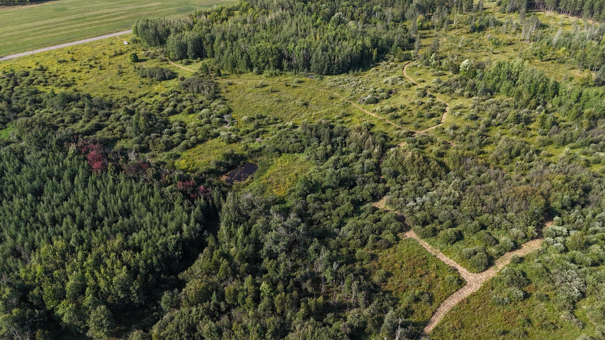 DJI_20260903094846_0852_D.JPG