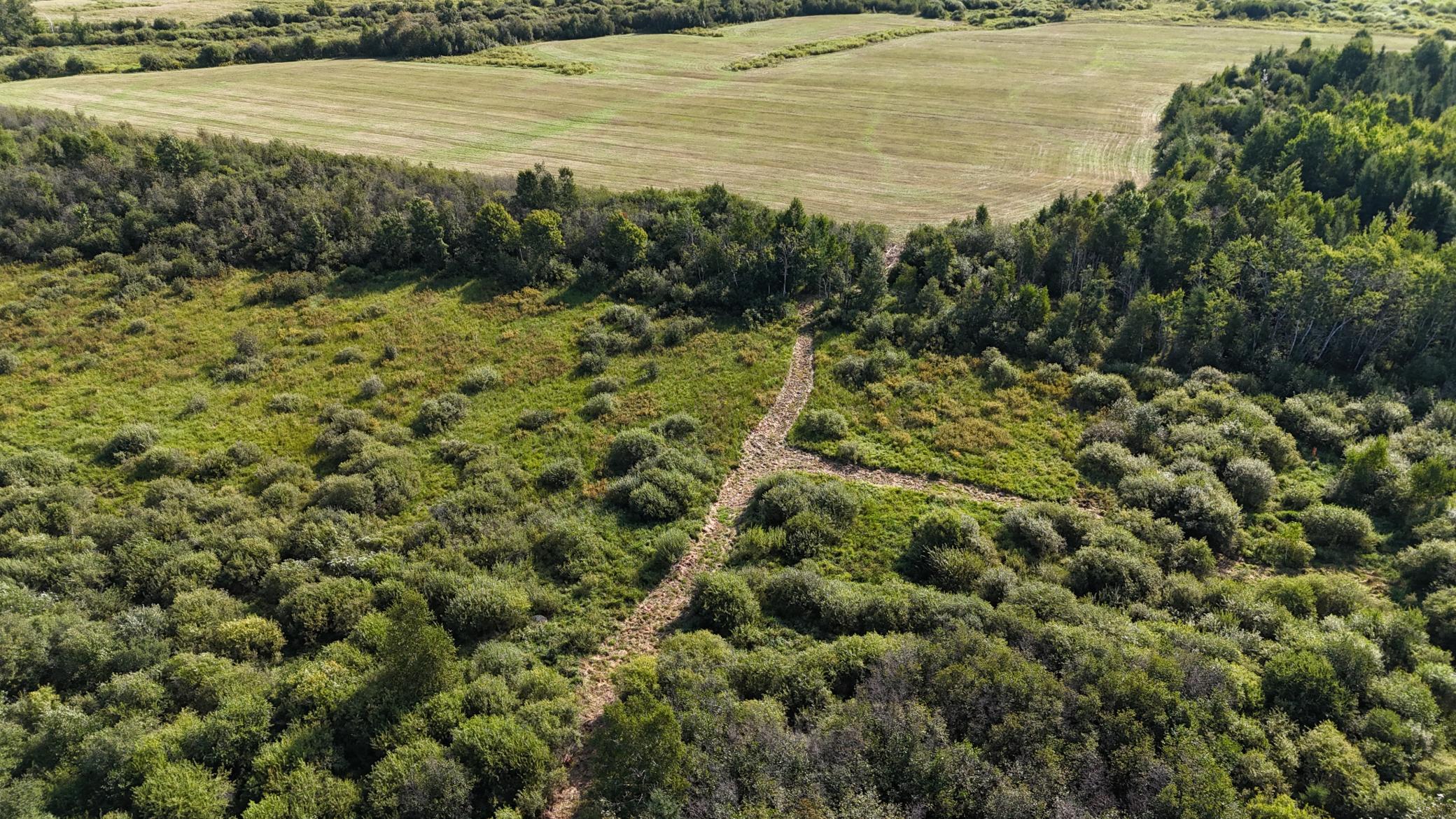 DJI_20260903094603_0847_D.JPG