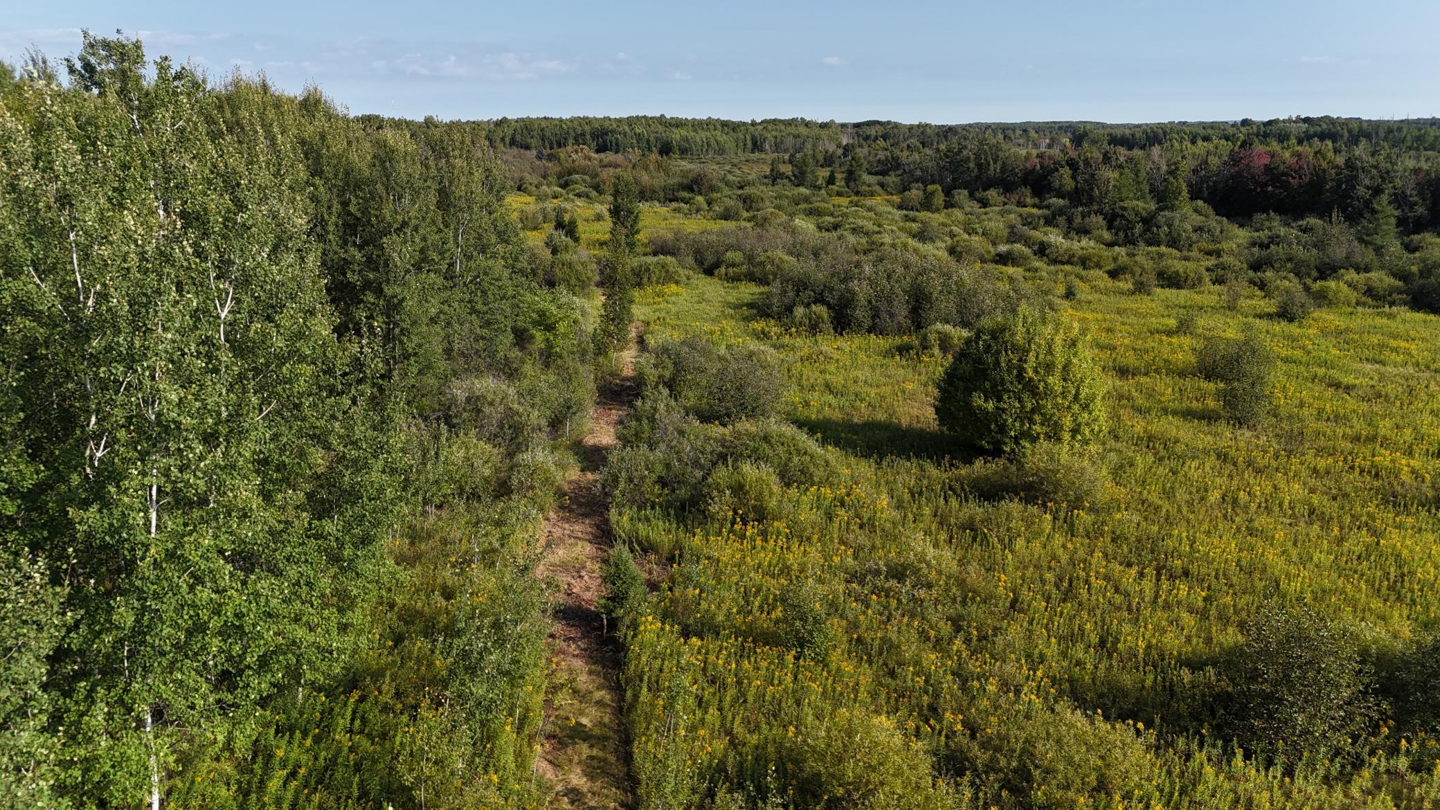 DJI_20260903094325_0840_D.JPG