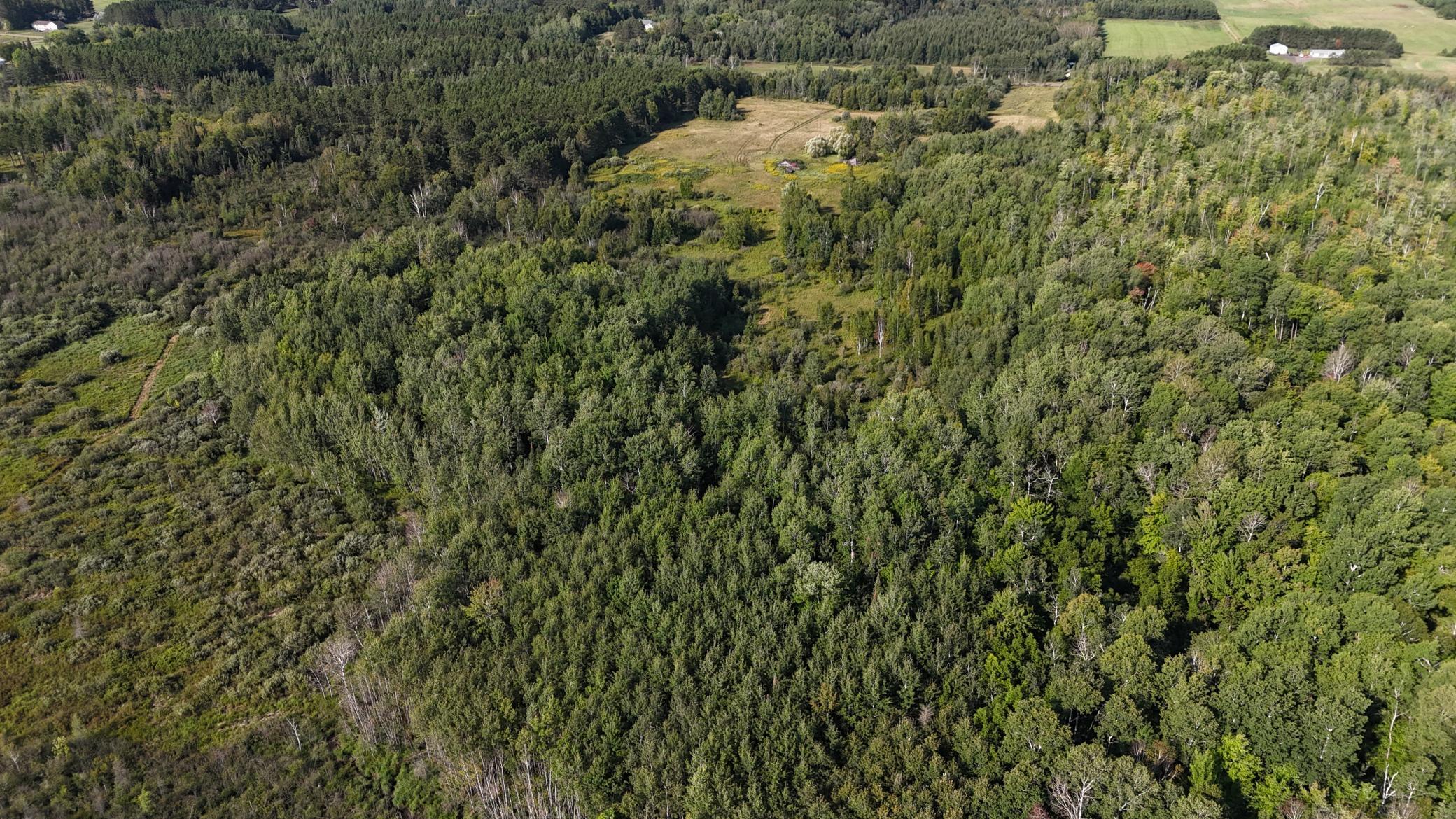 DJI_20260903095002_0856_D.JPG