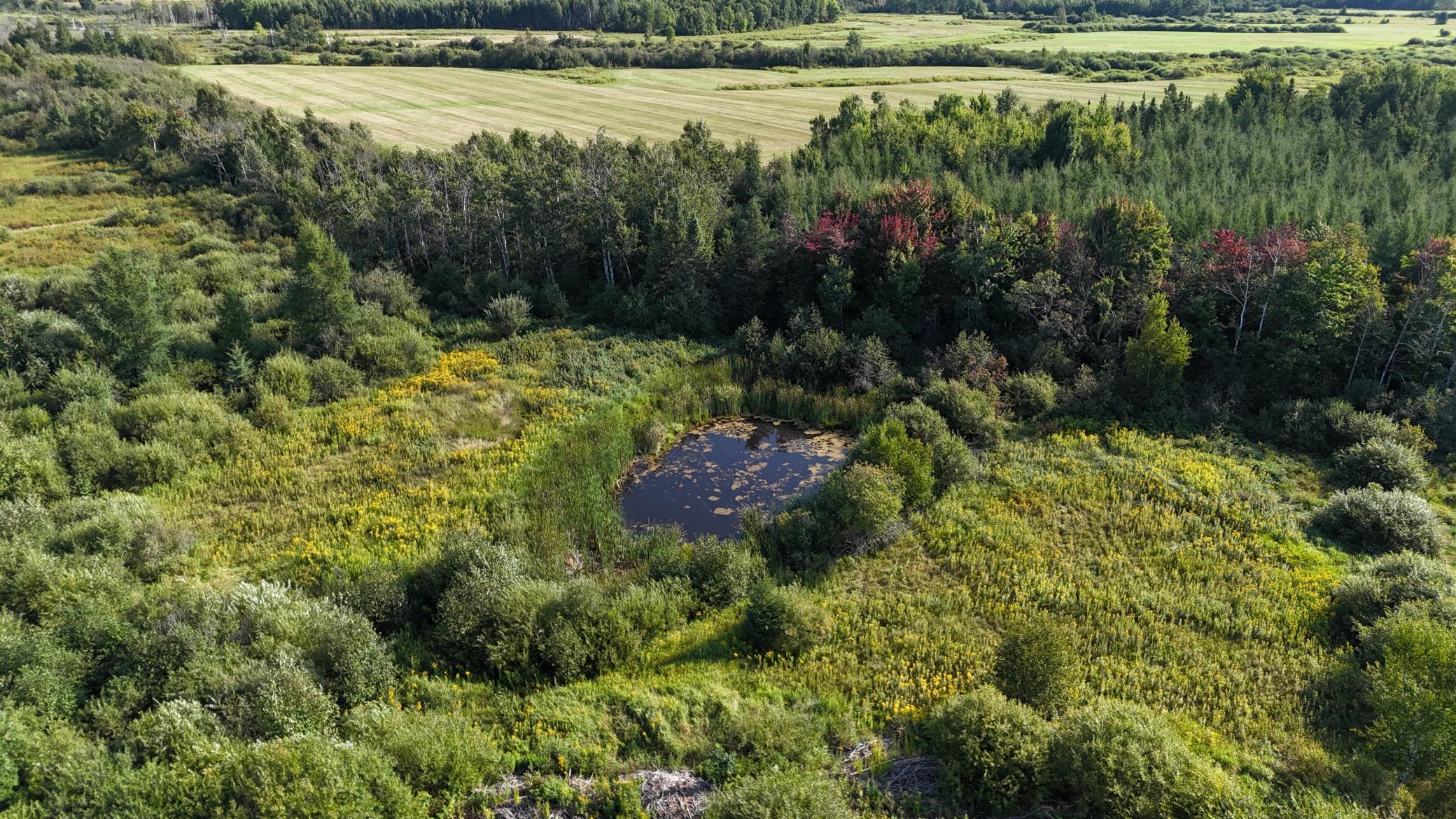DJI_20260903094438_0845_D.JPG