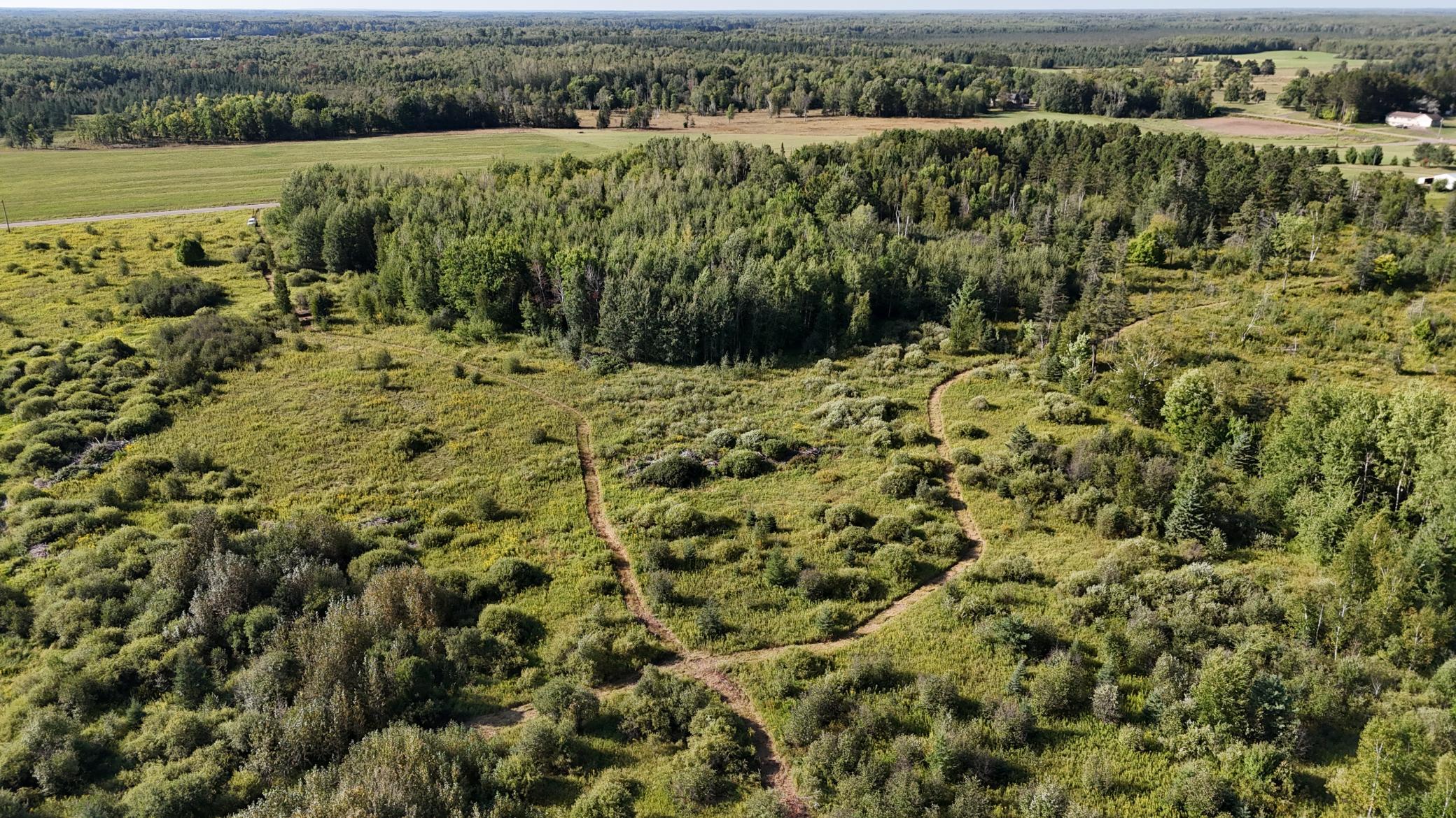 DJI_20260903094638_0849_D.JPG