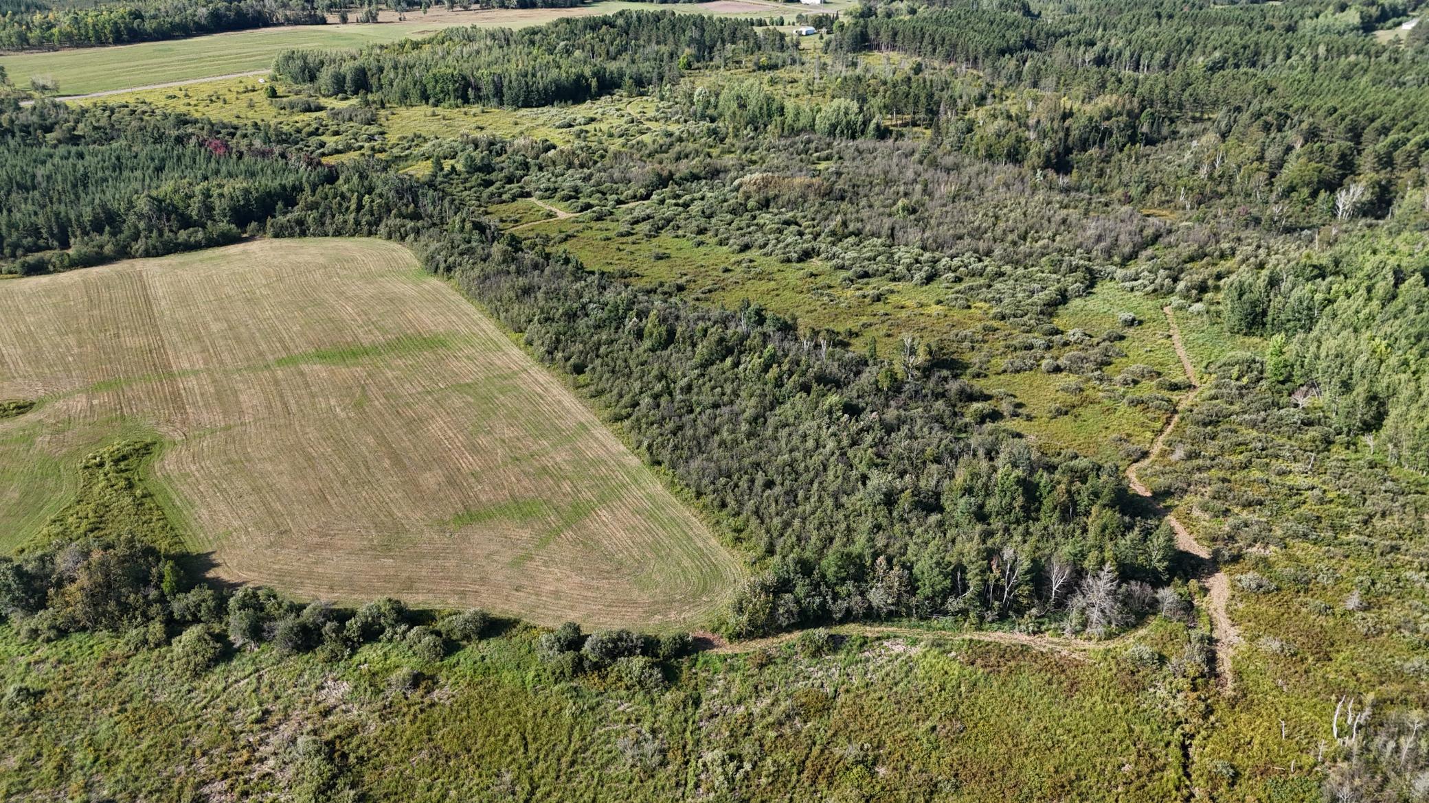 DJI_20260903094942_0855_D.JPG