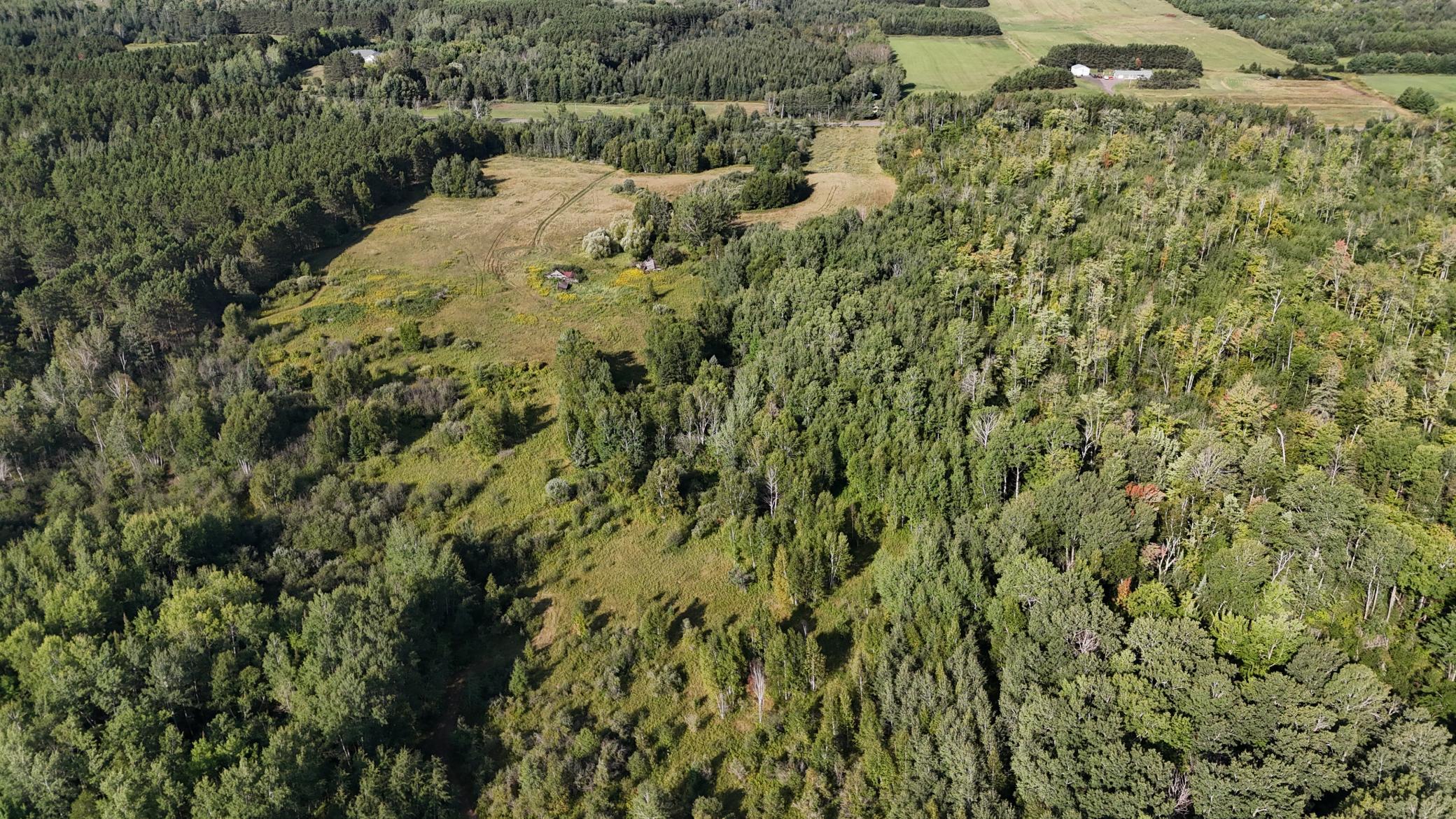 DJI_20260903095017_0857_D.JPG