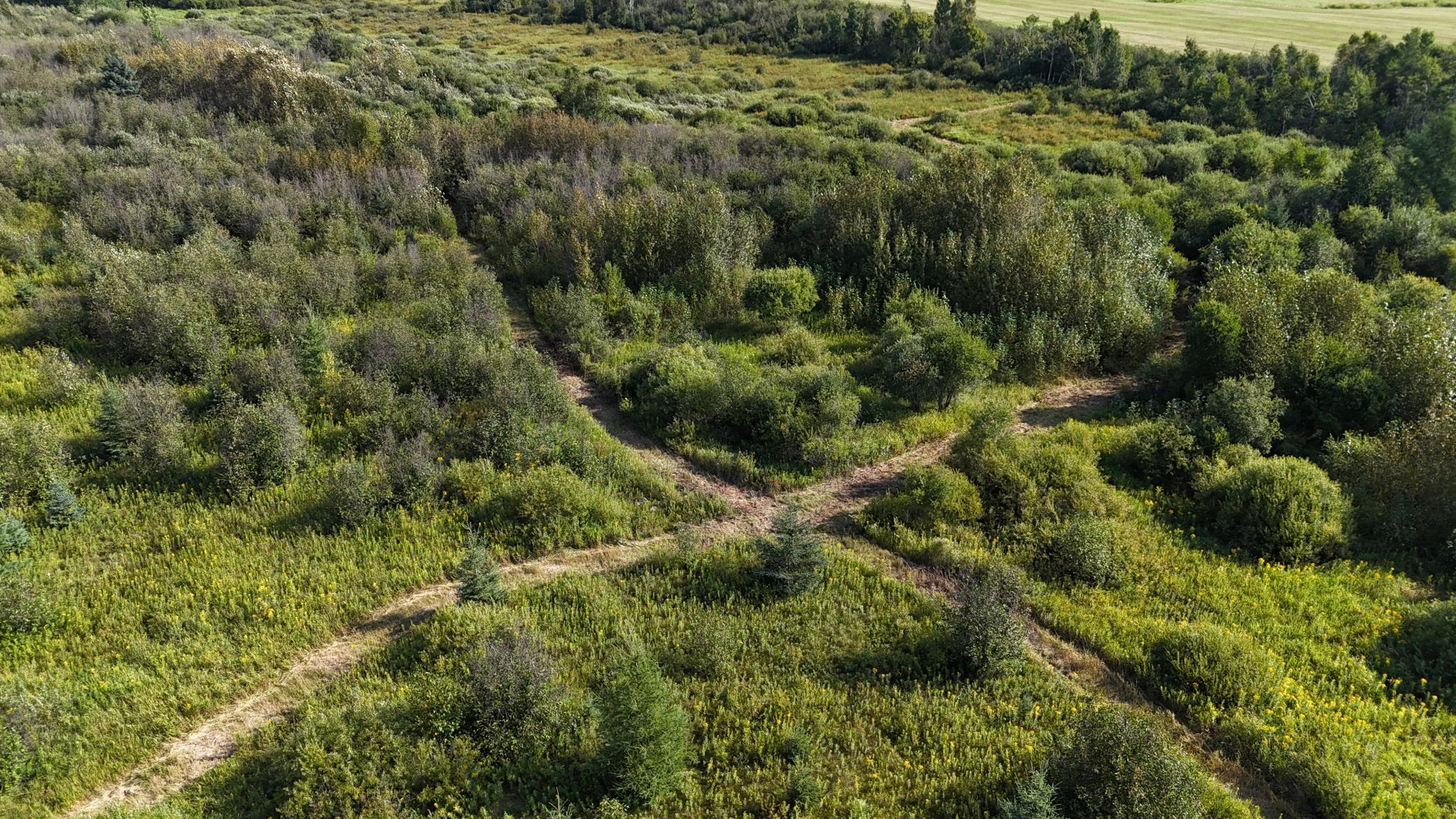 DJI_20260903094517_0846_D.JPG