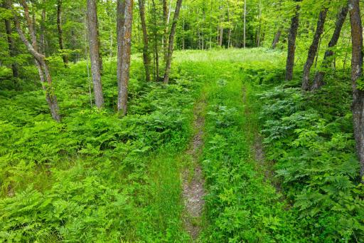dji_fly_20260626_113512_0225_1782501746117_photo.jpg
