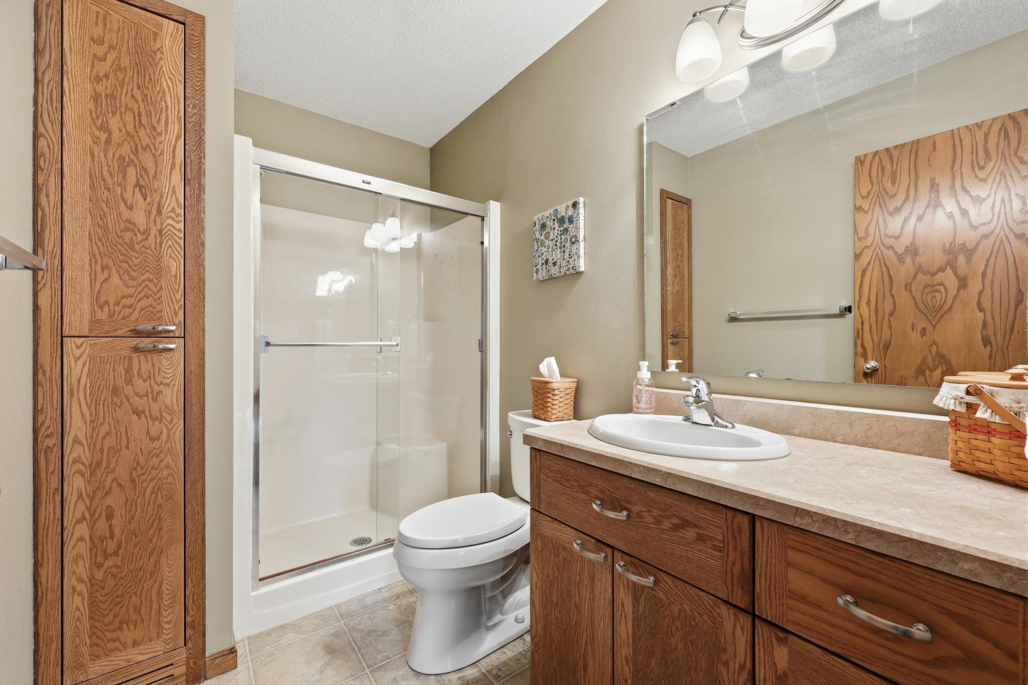 Lower level Bathroom