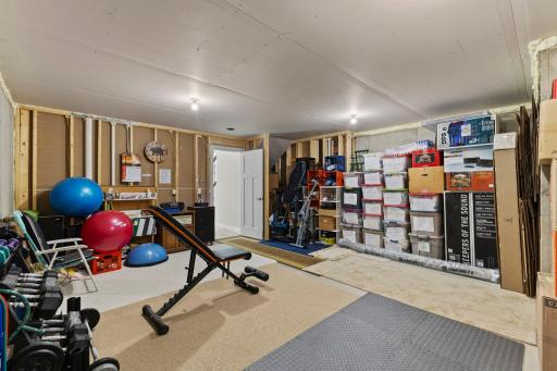 Huge Storage-Hobby Room.