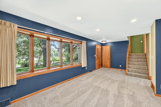 New Carpet