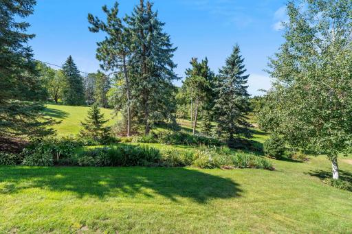 Step outside and enjoy a backyard surrounded by mature trees, creating a peaceful setting with room to relax, play or garden.