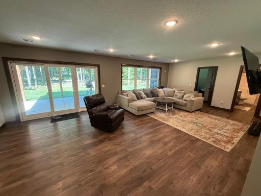 Basement Living Room
