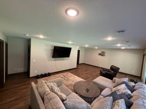 Basement Living Room
