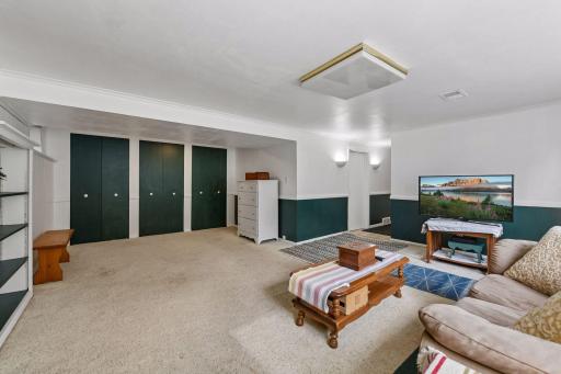 Expansive lower-level family room offers exceptional storage with a full wall of closets, plus additional built-in shelving.
