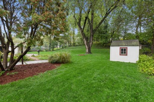 A park-like backyard with mature trees, lush lawn and room to spread out.