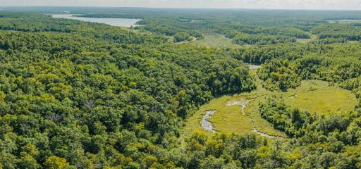 Wooded Aerial