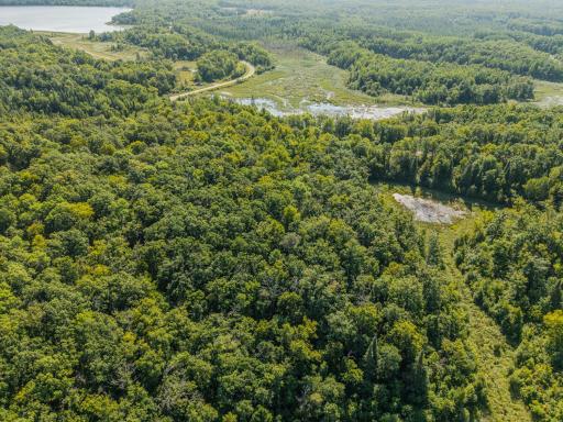 Easterly view from Subject Property to McCraney Lake