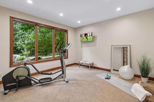 Lower level exercise room or flex room, however you desire