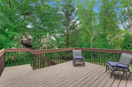 62-web-or-mls-10329-Noble-Ave-N-62.jpg