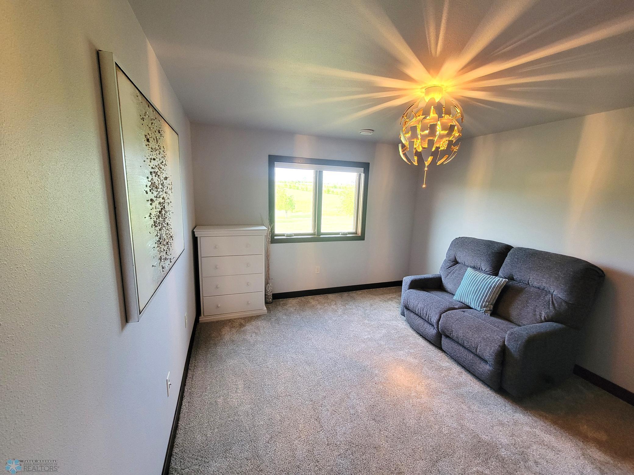 2nd Basement Bedroom
