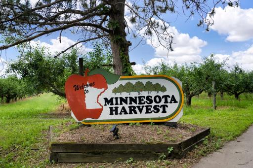 Local Apple Orchard