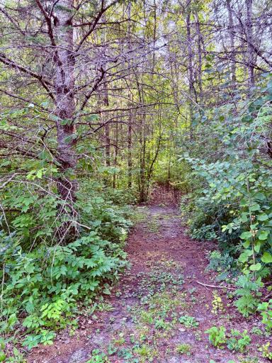 Nature trails