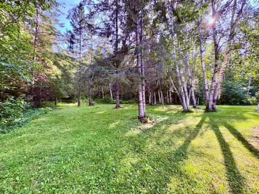 Back yard- south side of home