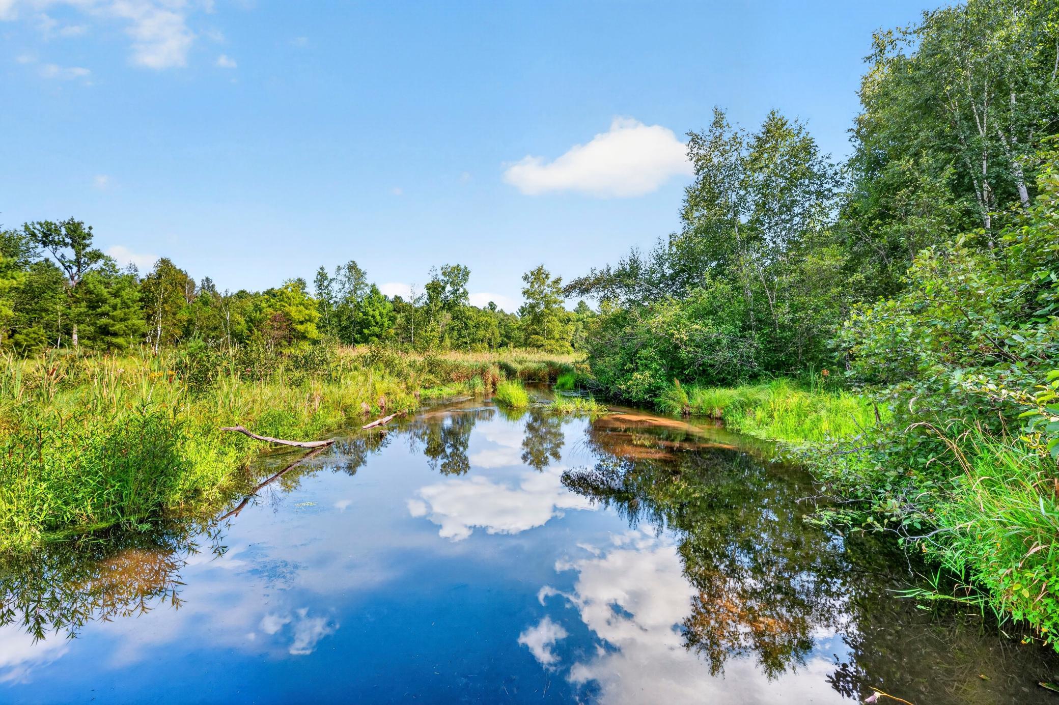 Approximately 3,200 feet of Bashaw Brook touches the property.