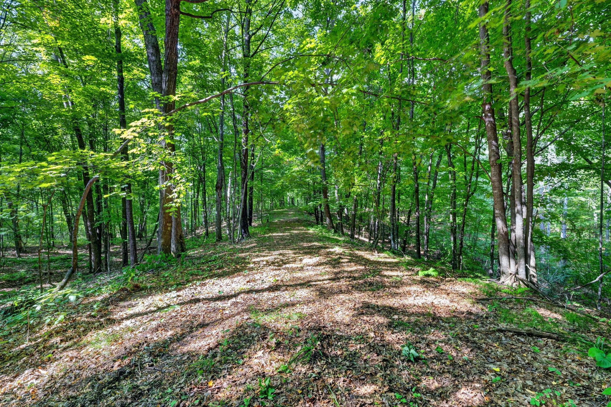 4.5+ miles of established trails.